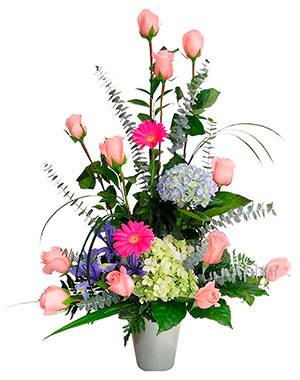 Ver detalle de Adriana