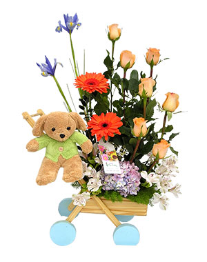 Ver detalle de Coche Hombre