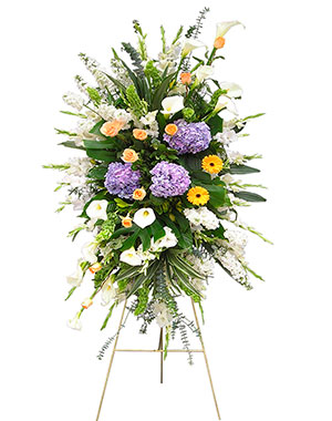 Ver detalle de Corona Tripode