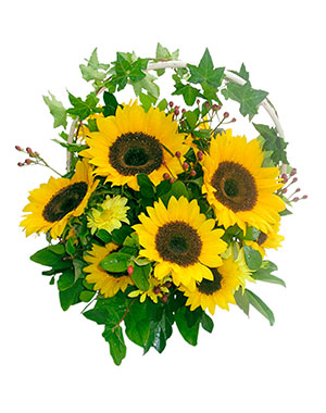 Ver detalle de Canasta girasol