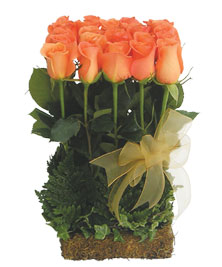 Ver detalle de Cajoncito de rosas