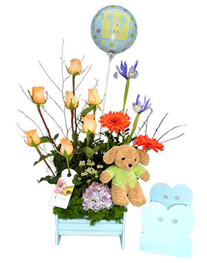 Ver detalle de Cuna Hombre