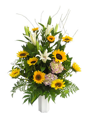 Ver detalle de Coral