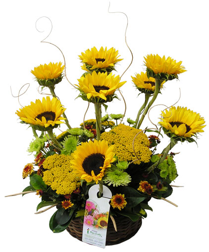 Ver detalle de Asturia