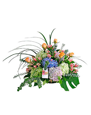 Ver detalle de Cartagena