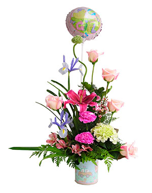 Ver detalle de Bienvenido Bebe Mujer