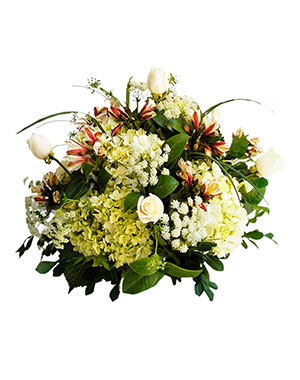 Ver detalle de Lagrima Sentimiento