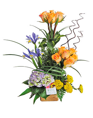 Ver detalle de Alicante