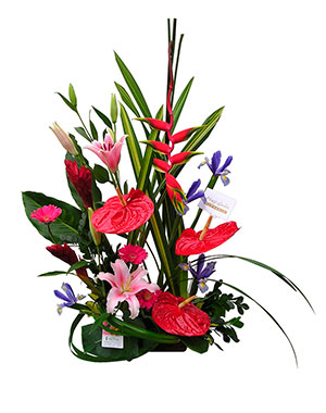 Ver detalle de Asuncion