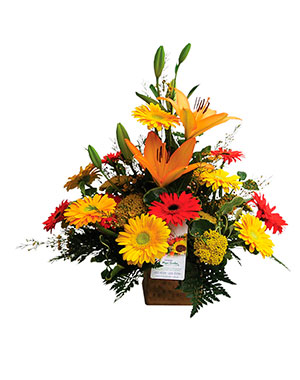 Ver detalle de Florencia