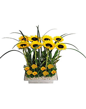 Ver detalle de Monaco