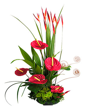 Ver detalle de Agata