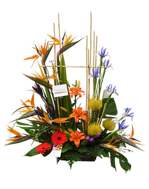 Ver detalle de Brigitte