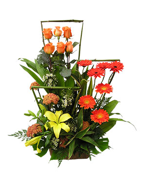 Ver detalle de Arlete