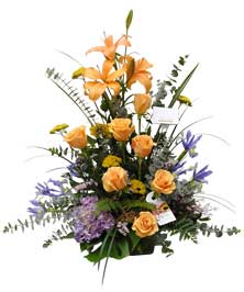 Ver detalle de Ambar