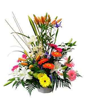 Ver detalle de Tulsa