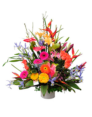 Ver detalle de Primaveral Exótico