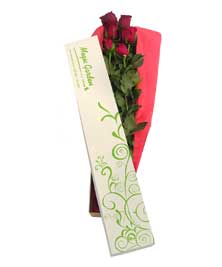 Ver detalle de Caja de 6 rosas