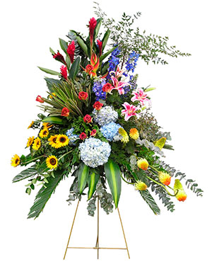 Ver detalle de Tripode especial