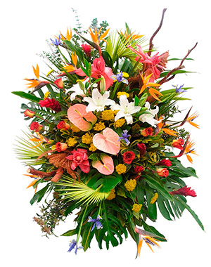 Ver detalle de Tripode tropical