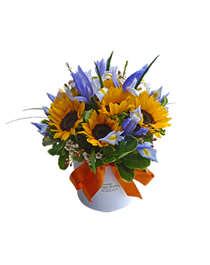 Ver detalle de Box Primavera