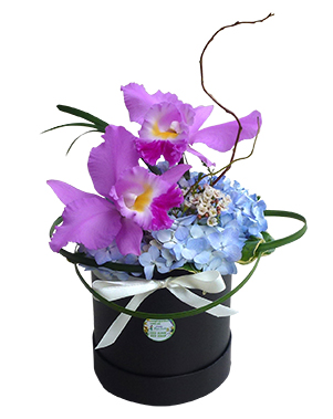 Ver detalle de Box Orquideas