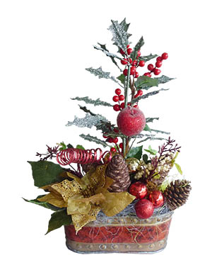 Ver detalle de Blanca Navidad