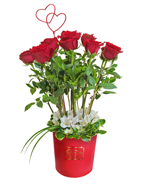 Ver detalle de Sinfonia