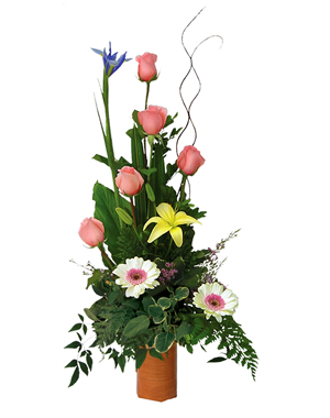 Ver detalle de Amoroso