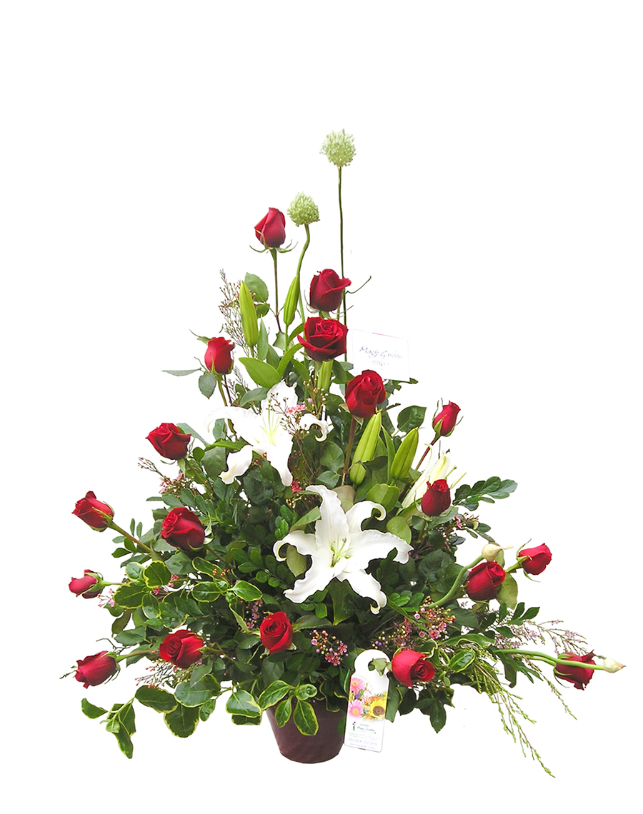 Ver detalle de Brunela