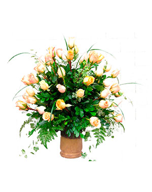 Ver detalle de Alexandra