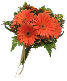 Ver detalle de bouquet de gerberas