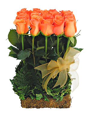 Ver detalle de Cajoncito de rosas