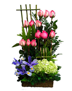 Ver detalle de Tempo