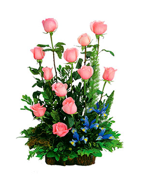 Ver detalle de Romance